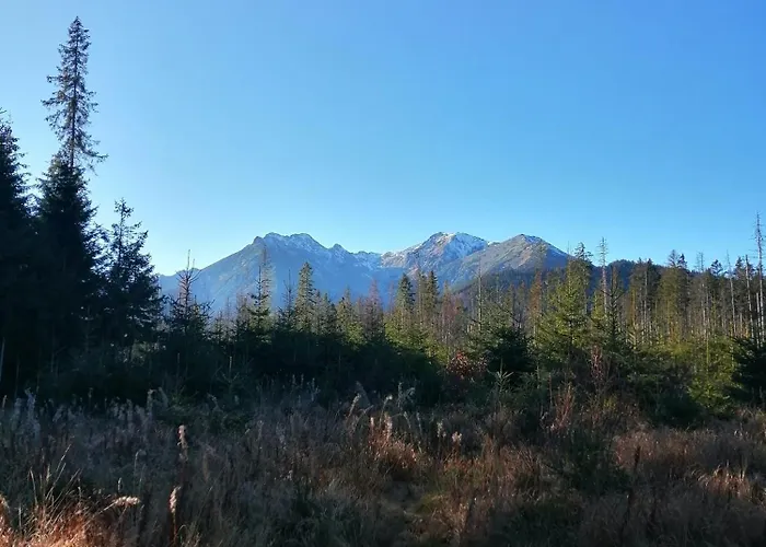 Miodowa Alloggio per agriturismo