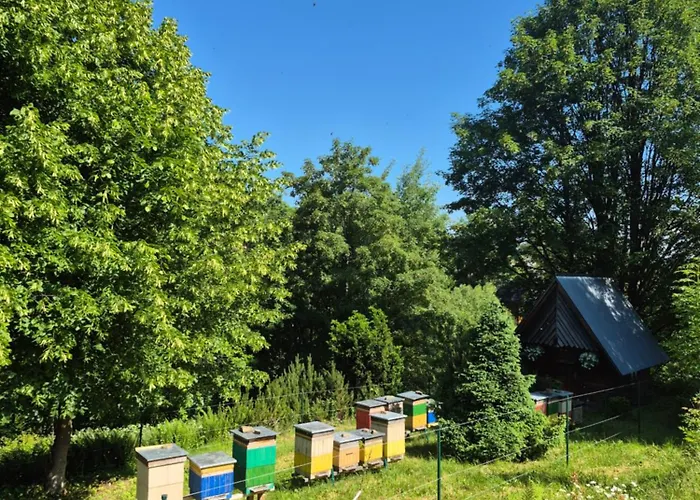 Miodowa * Brzegi (Tatra)